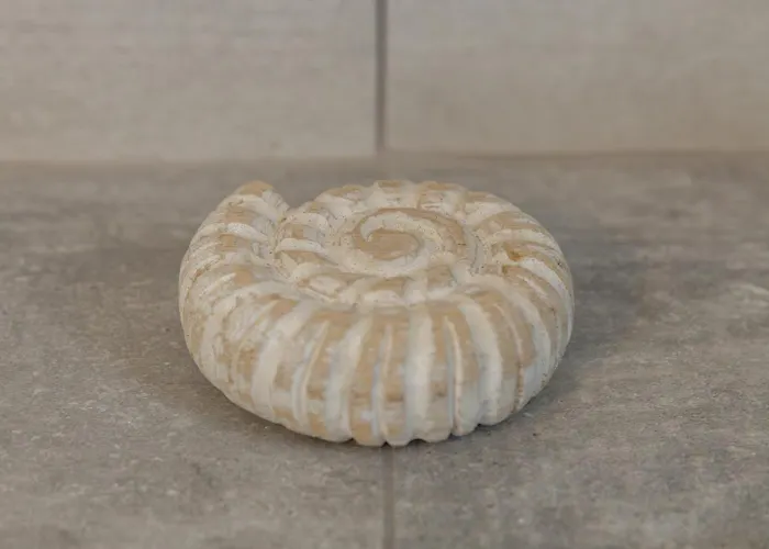 Paros Melodia * Logaras